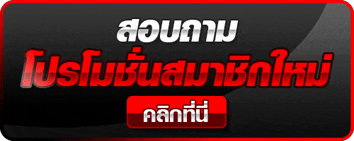 บาคาร่าดีที่สุด